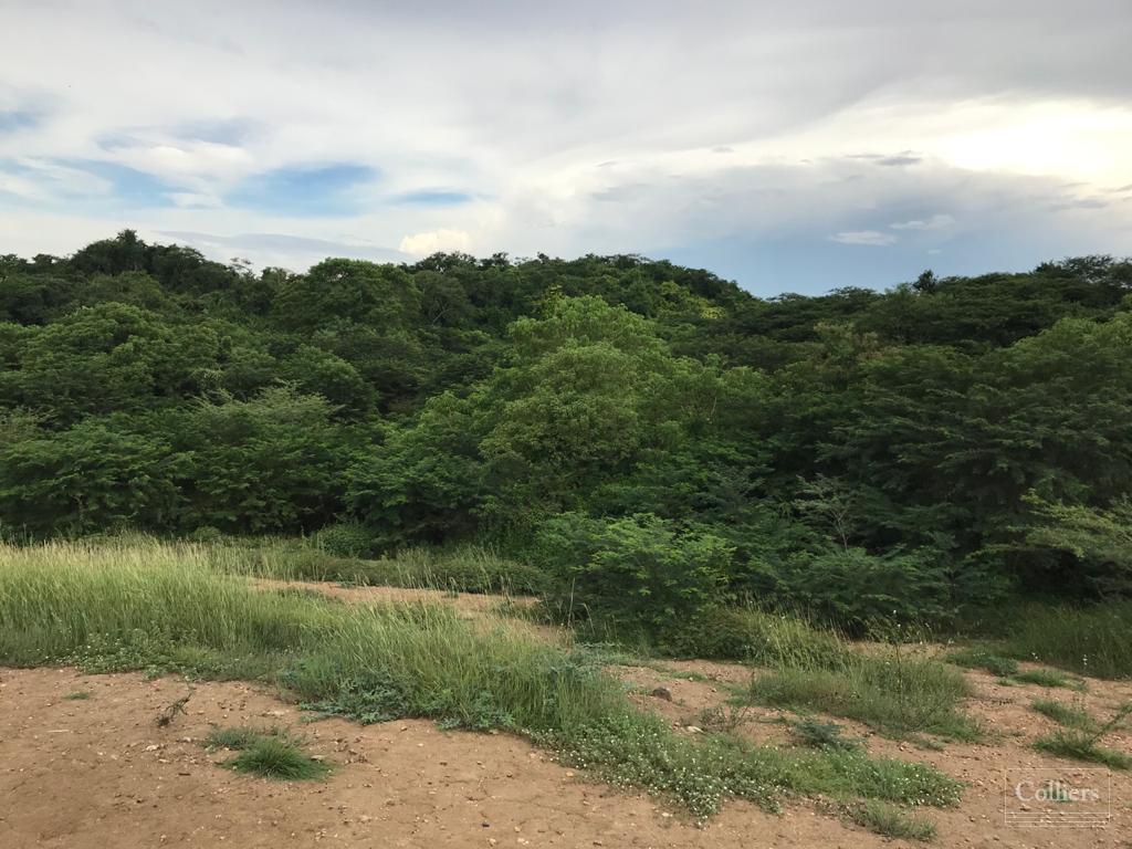 Lote Disponible en venta via Cartagena Barranquilla - #3