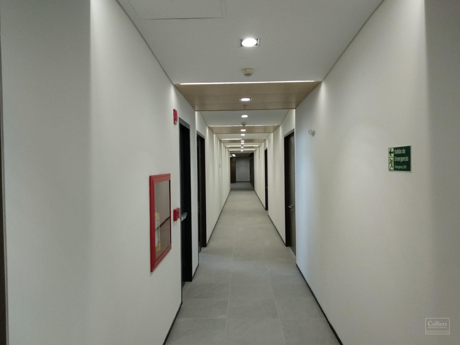 Siete 24 - Oficina 504 - - #5