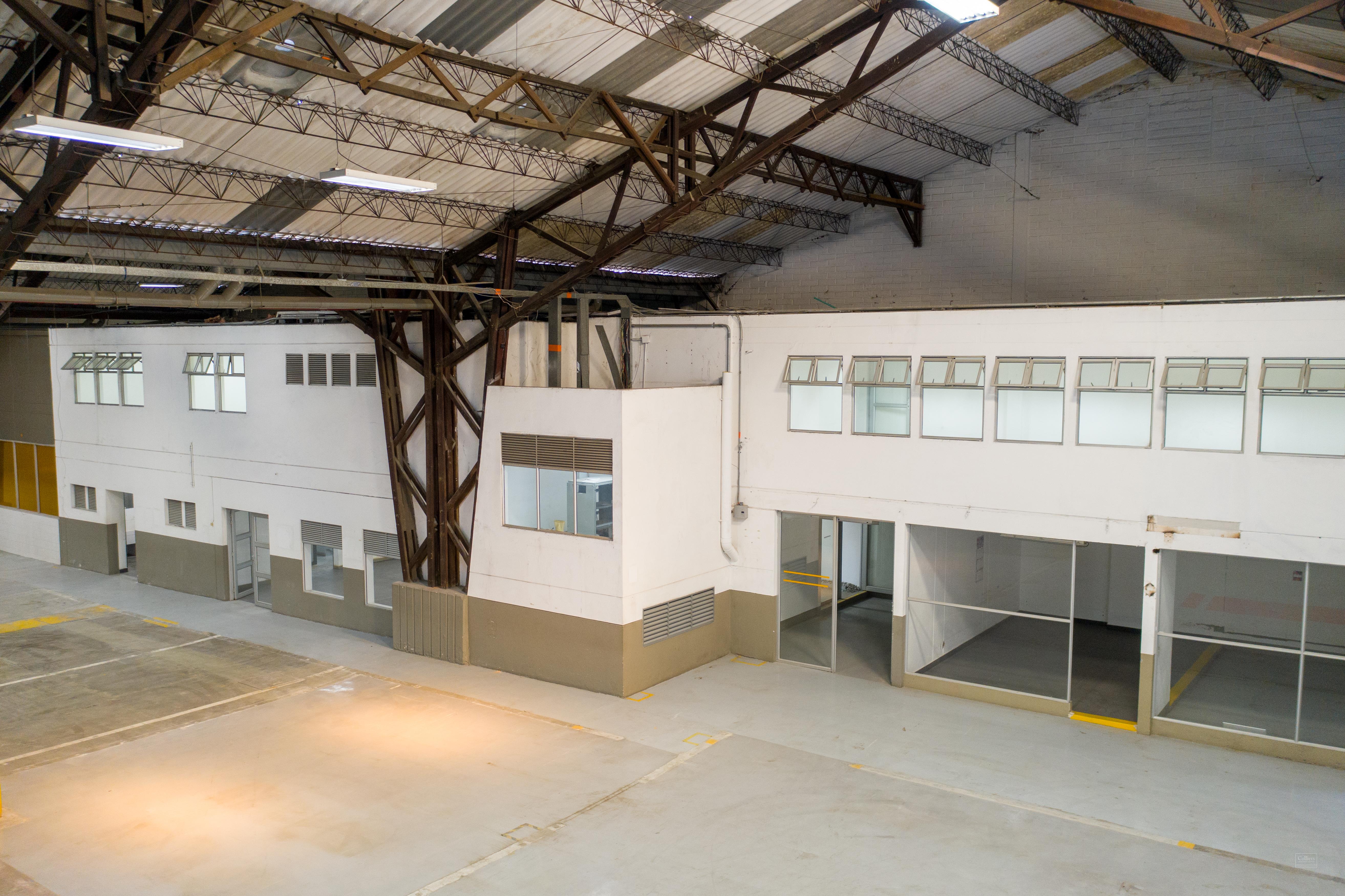 Bodega Lógika Itagüi - #6