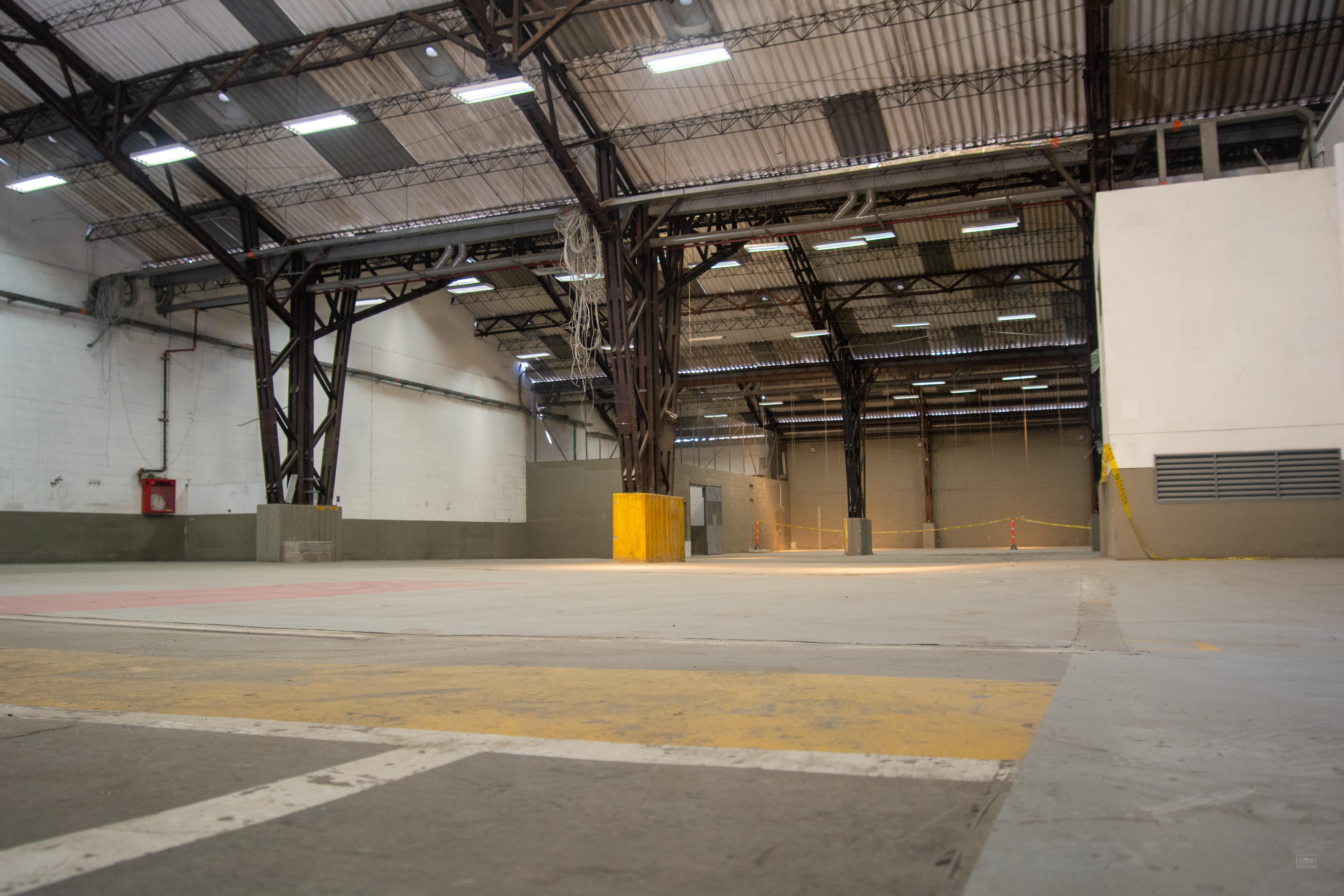 Bodega Lógika Itagüi - #5