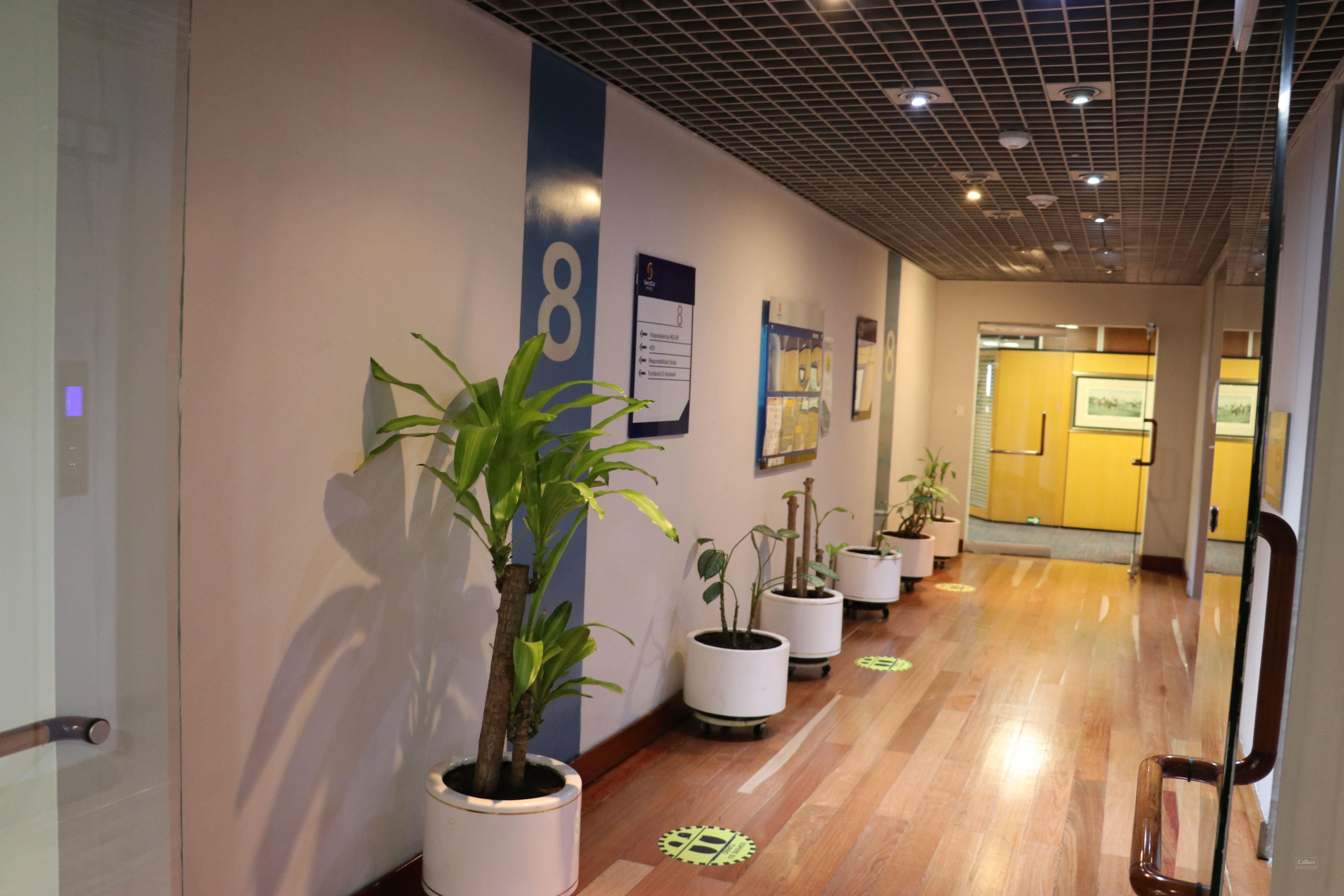 Edificio Colón Disponible en Venta - #18