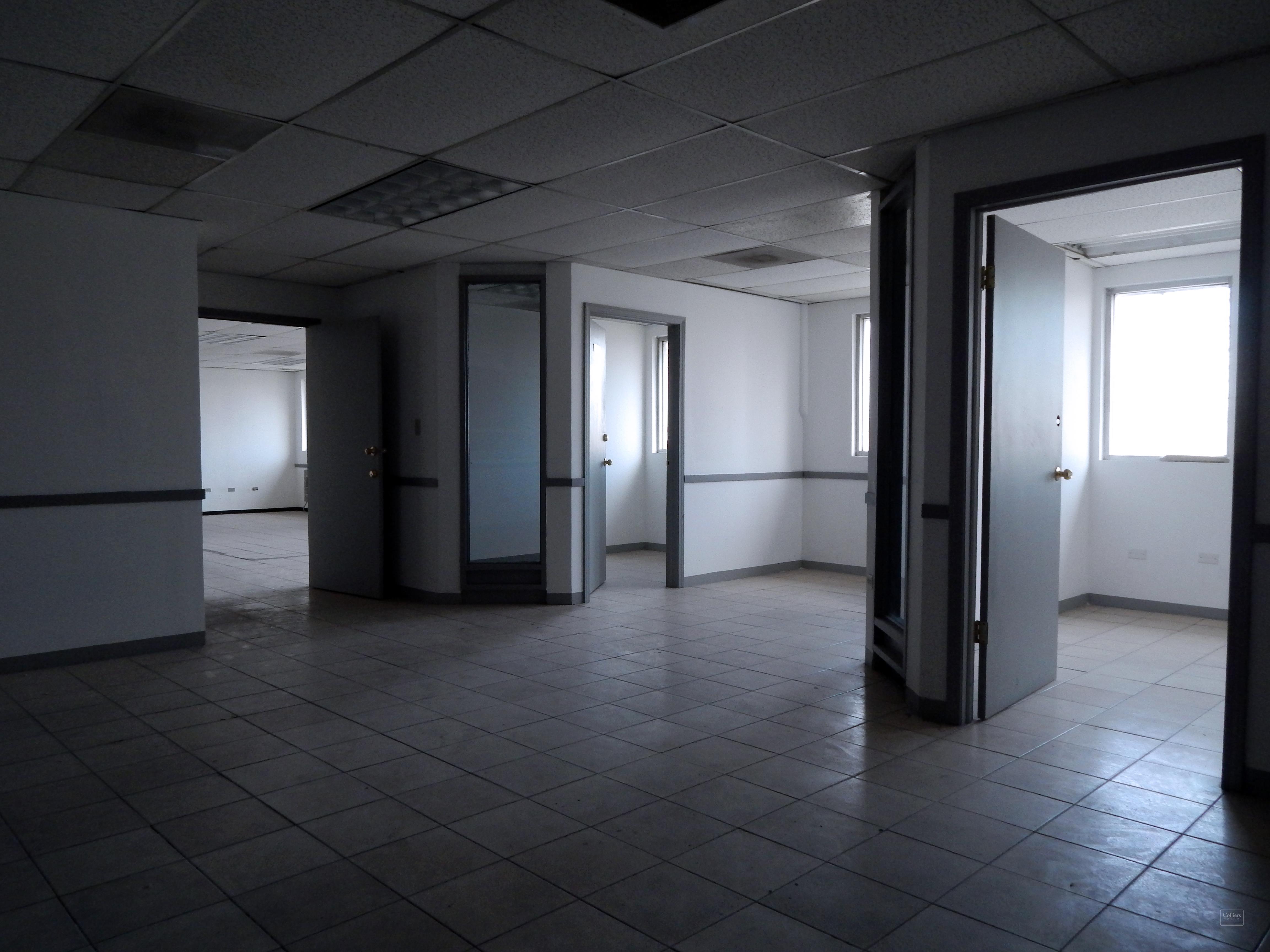 Industrial Building: Juarez Industrial Park - #7