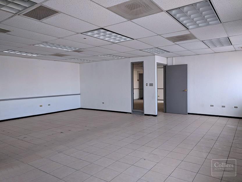 Industrial Building: Juarez Industrial Park - #5