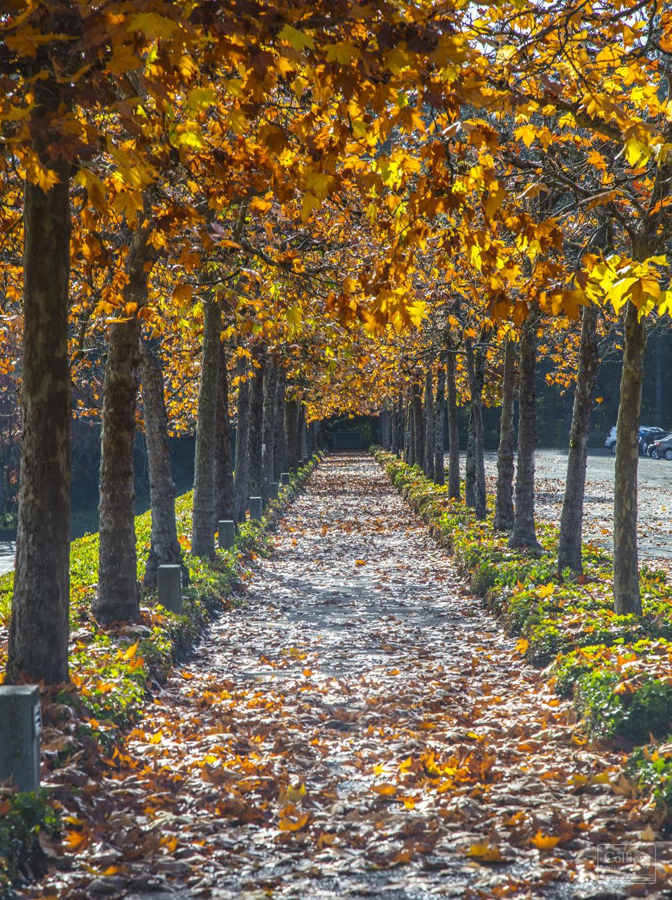 Woodbridge Corporate Park - #7