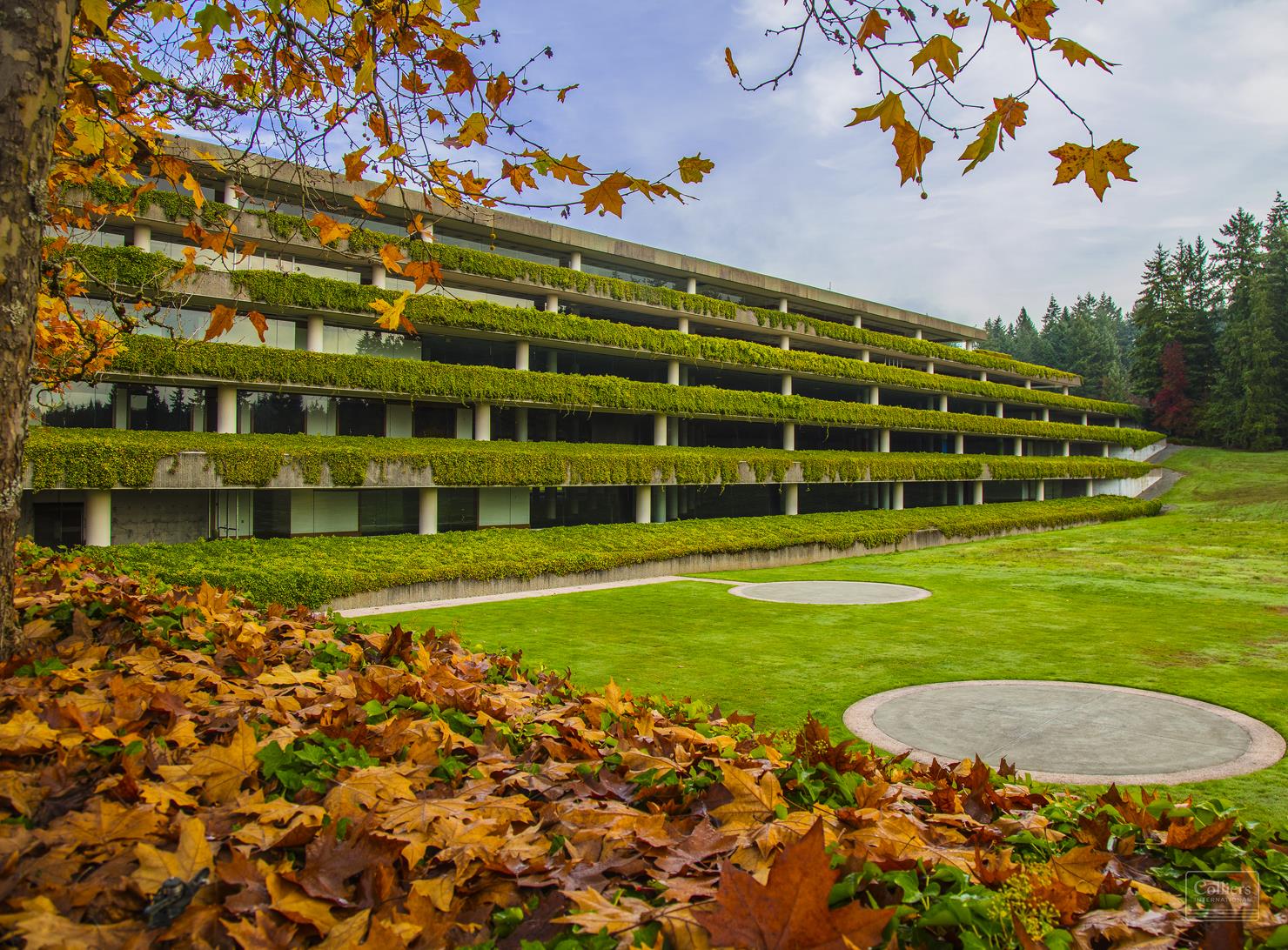 Woodbridge Corporate Park - #9