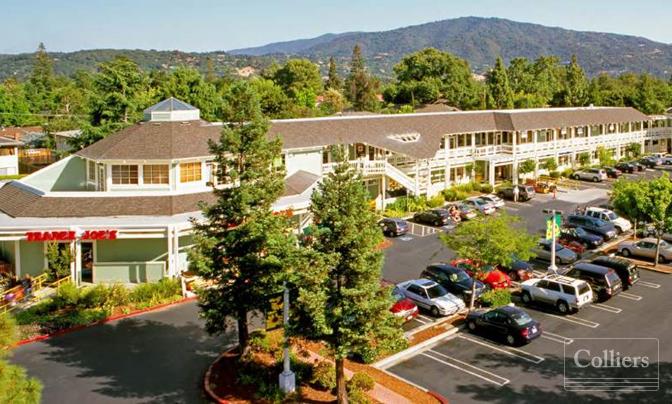 LOS GATOS VILLAGE SQUARE - #1