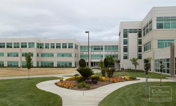 9100 Foothills Blvd - #1