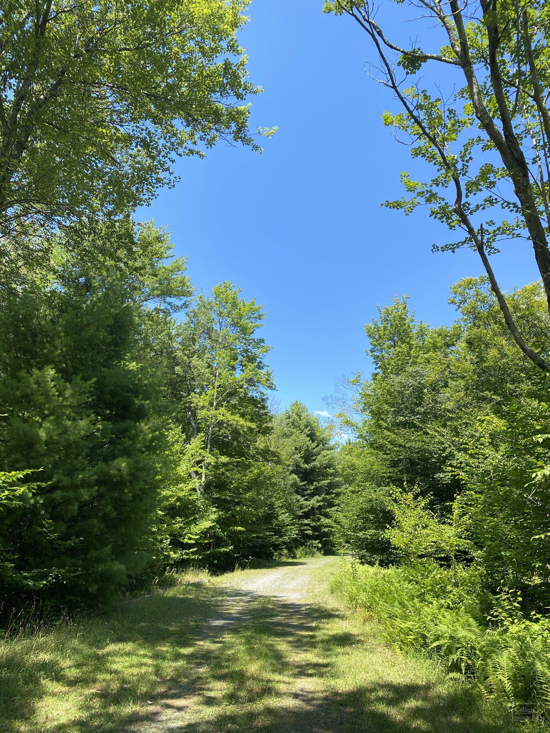 118 Hilltop Road - #2