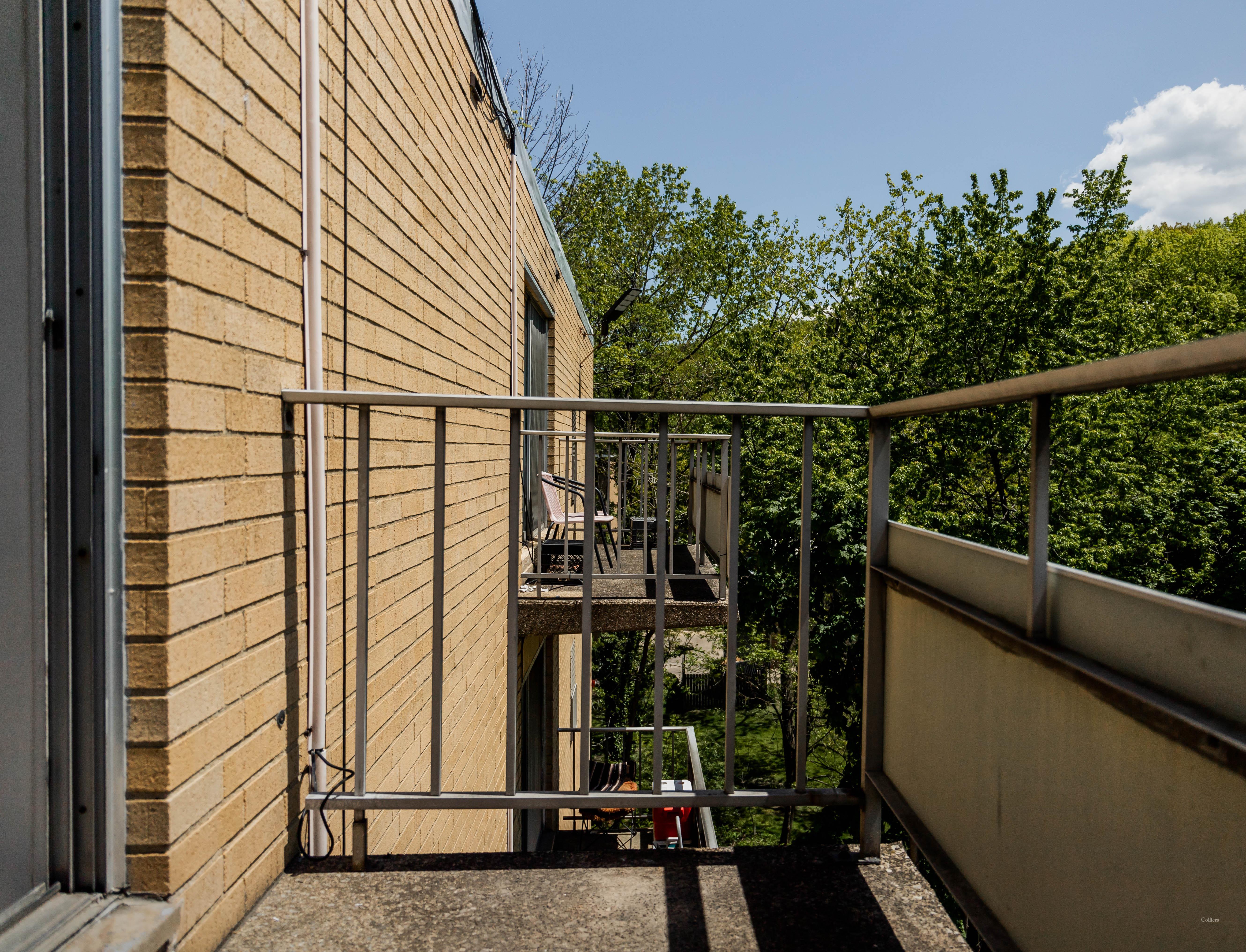 GreenRidge on Euclid - #10