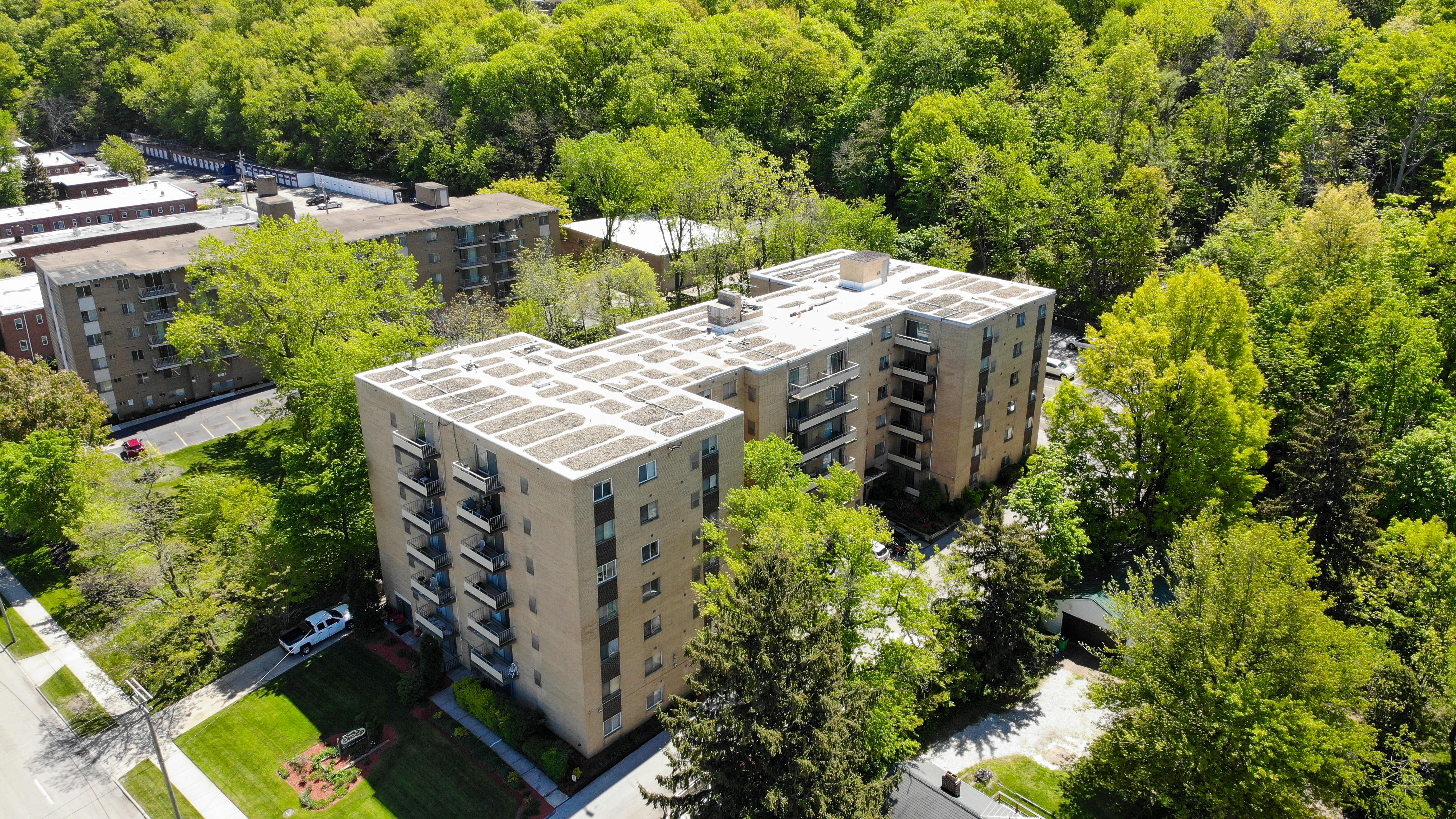 GreenRidge on Euclid - #1