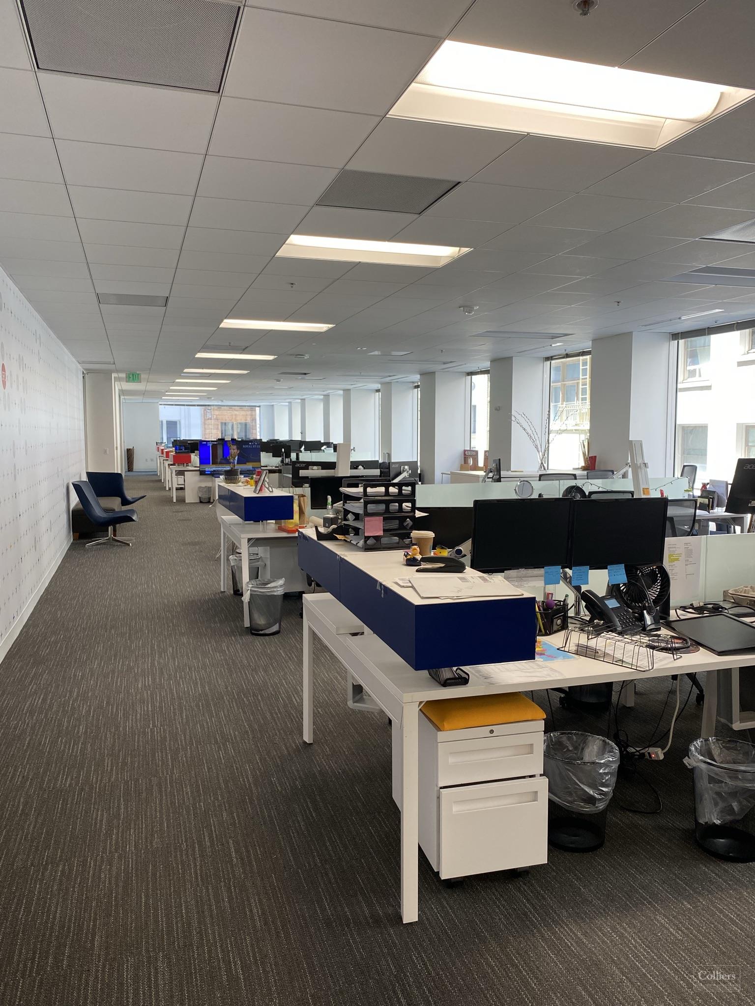 Plug & Play Creative Sublease - #5