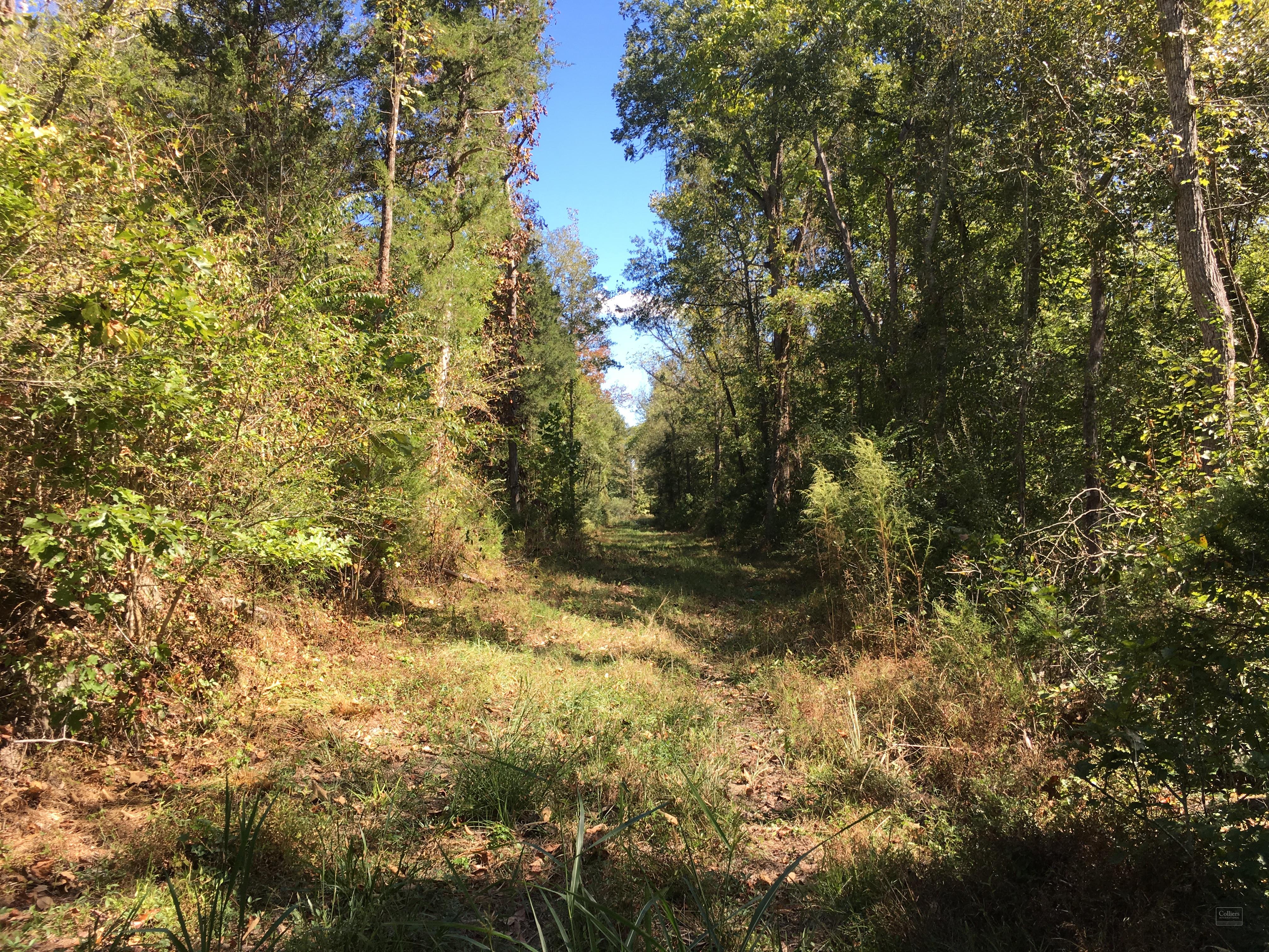 ±52.5 Acres of Recreational, Residential or Agriculture Land - #2
