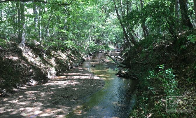 ±52.5 Acres of Recreational, Residential or Agriculture Land - #1