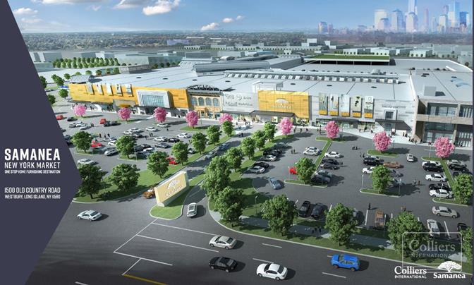 New Mall Development Site - #1