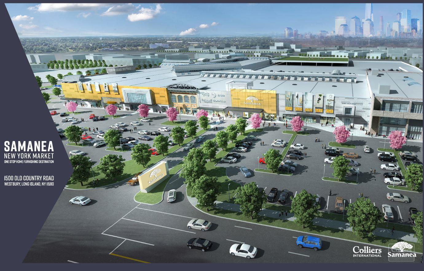 New Mall Development Site - #1