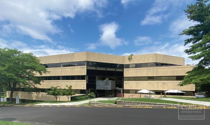 The Overlooked Gem of the Market! - #1