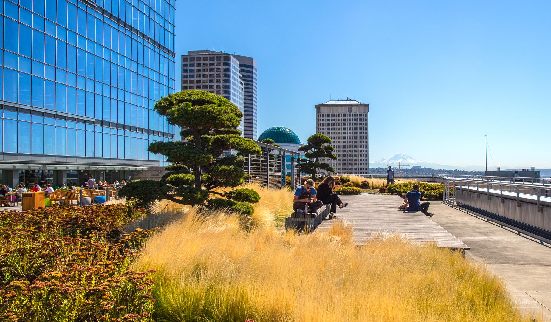 test 5 by qa OLVN 4/16/24 - #3