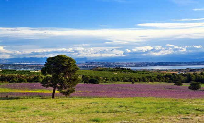 test  55 by  mf - %^&*'()_+=-\|{.}[,] - #5