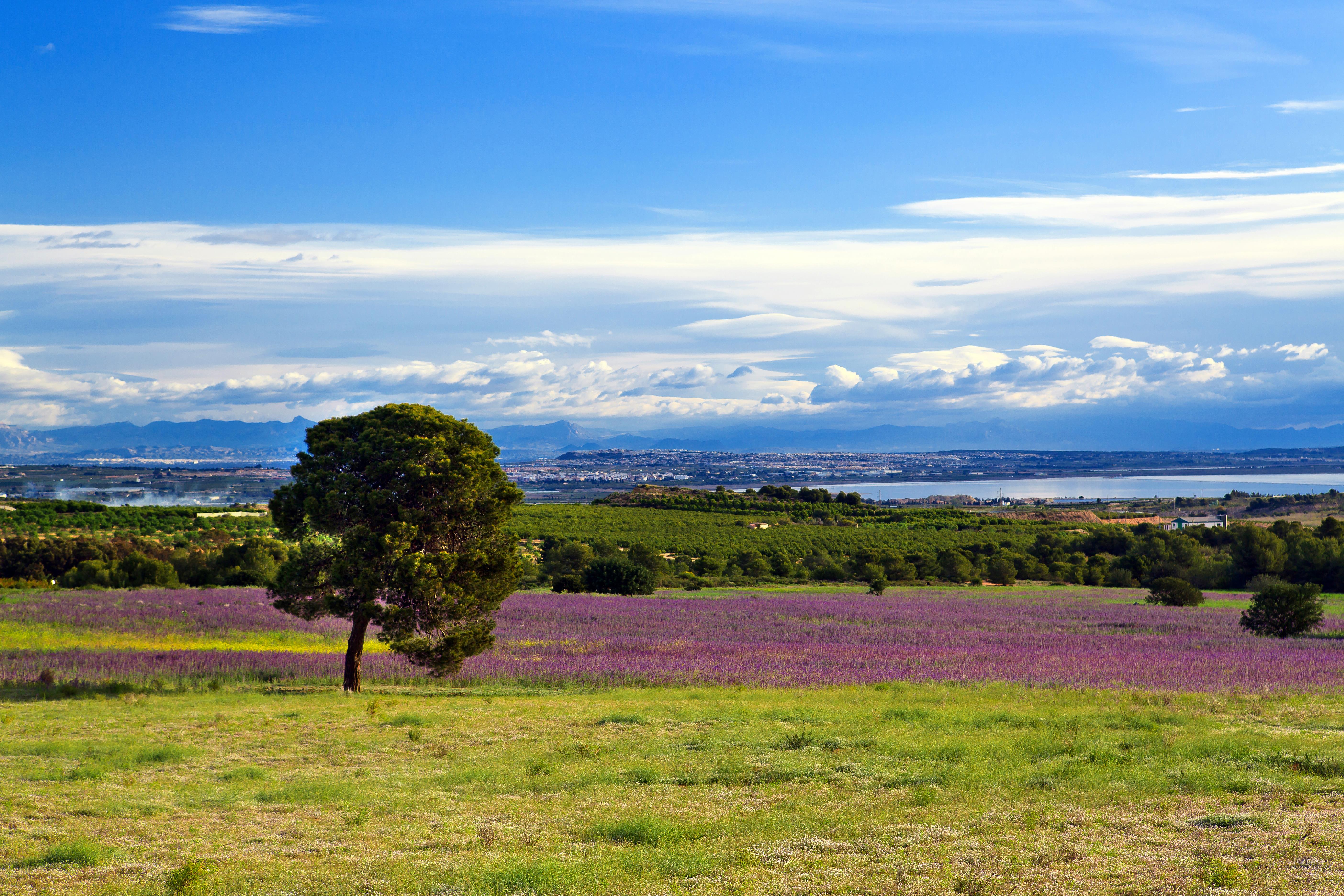 test  55 by  mf - %^&*'()_+=-\|{.}[,] - #5